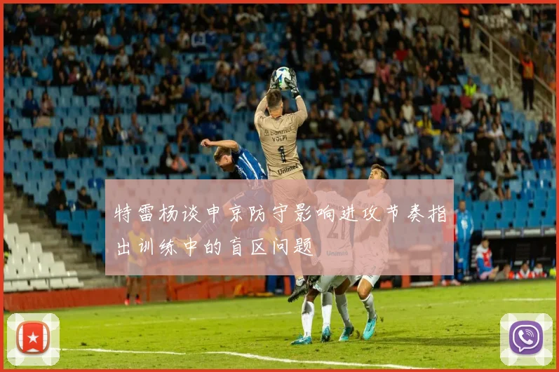 特雷杨谈申京防守影响进攻节奏指出训练中的盲区问题
