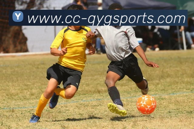 奇异果体育平台生态图